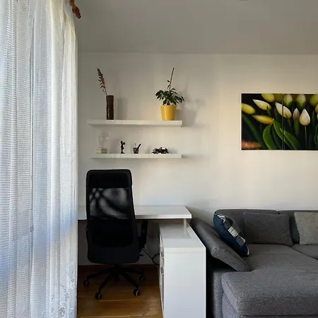 A Large 1 Bedroom With An Available Private Parking 아파트
