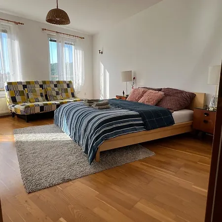 아파트 A Large 1 Bedroom With An Available Private Parking 프라하